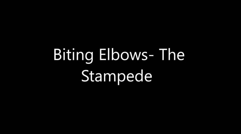 Biting Elbows - The Stampede