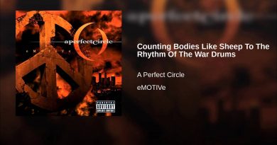 A Perfect Circle - People Are People