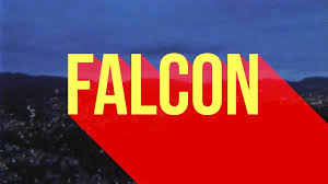Jaden - Falcon