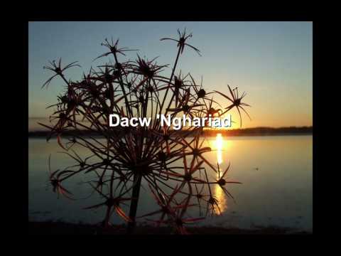 In Extremo - Dacw 'Nghariad