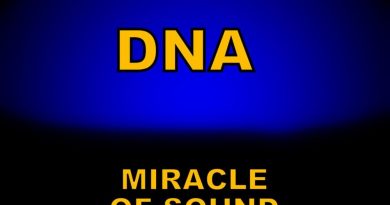 Miracle of Sound - Dna