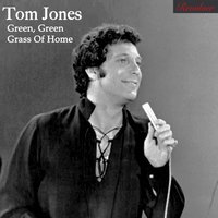 Tom Jones - A Field Of Yellow Daisies