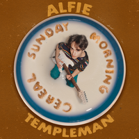 Alfie Templeman - Busy