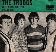 The Troggs - With a Girl Like You