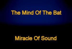 Miracle of Sound - The Mind of the Bat