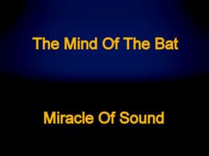 Miracle of Sound - The Mind of the Bat