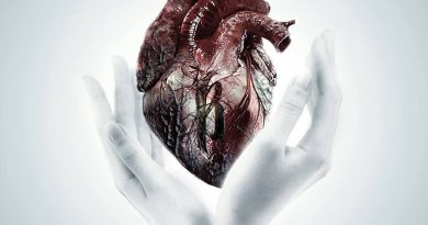 Breakdown Of Sanity - My Heart In Your Hands