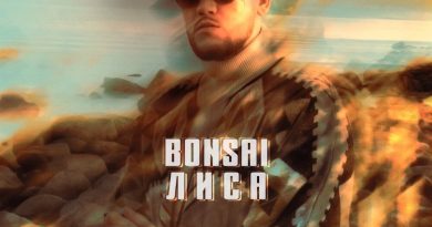 Bonsai - Лиса