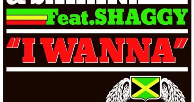 Bob Sinclar - I Wanna (Feat. Shaggy & Sahara)