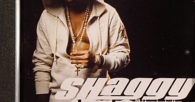 Shaggy - Church Heathen