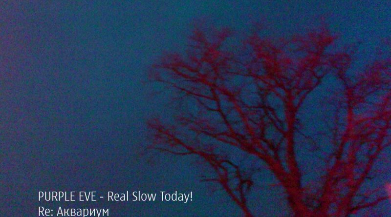 Аквариум - Real Slow Today