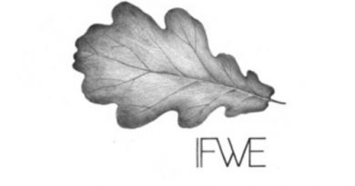 IFWE - Запах южных ветров