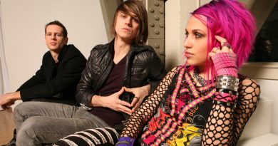 Icon For Hire - The Grey