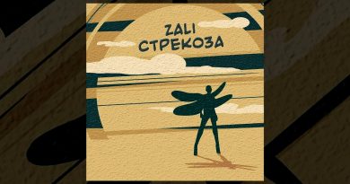 MC Zali - Стрекоза