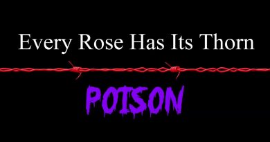 Poison - Every Rose Has Its Thorn