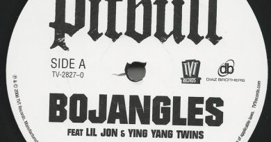 Pitbull - Bojangles (Remix)