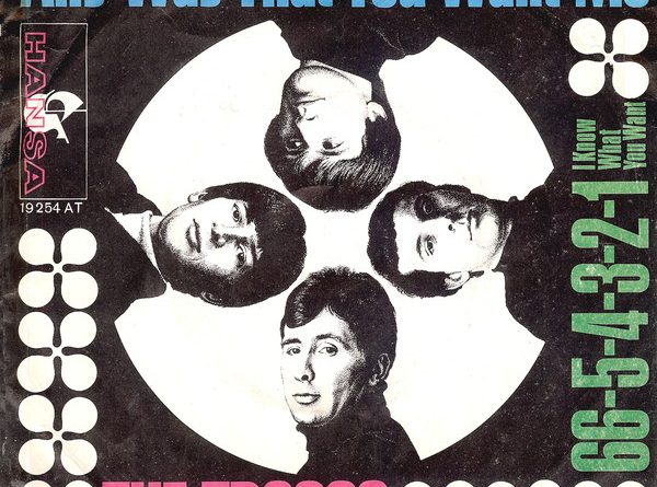 The Troggs - Anyway That You Want Me