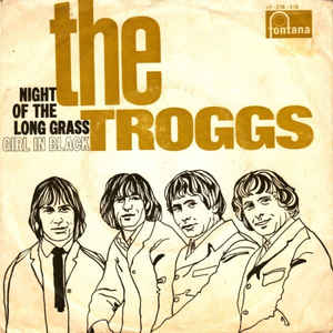 The Troggs - Night Of The Long Grass