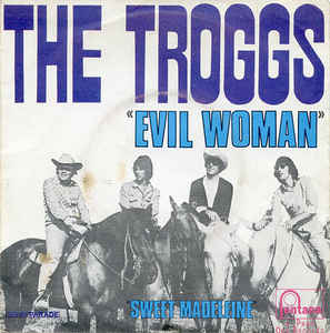 The Troggs - Evil Woman