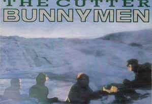 Echo & the Bunnymen - The Cutter