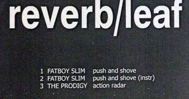 Fatboy Slim - Push And Shove