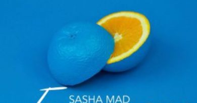 Sasha Mad - Без памяти
