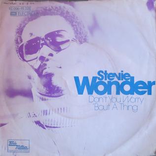Stevie Wonder - Don't You Worry 'Bout A Thing