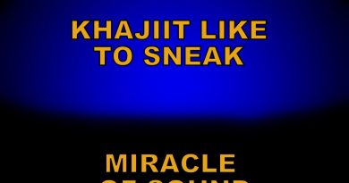 Miracle of Sound - Khajiit Like to Sneak