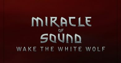 Miracle of Sound - Wake the white wolf