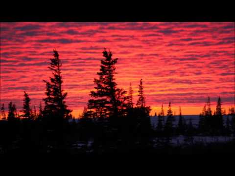 Agalloch – She Painted Fire Across the Skyline, Pt. 1