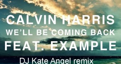 Calvin Harris - We'll Be Coming Back (Ft. Example)
