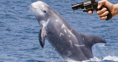 Дельфин — Один на один