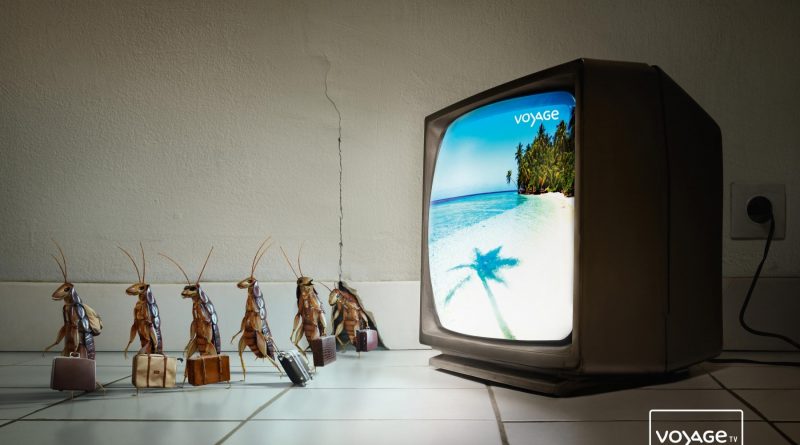 Телевизор — Тараканы