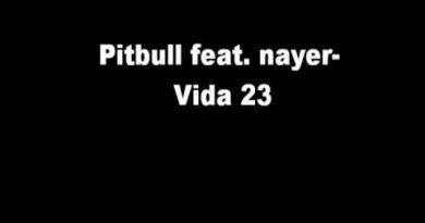 Pitbull - Vida 23
