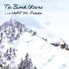 The Black Crowes - Appaloosa