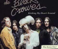The Black Crowes - No Use Lying