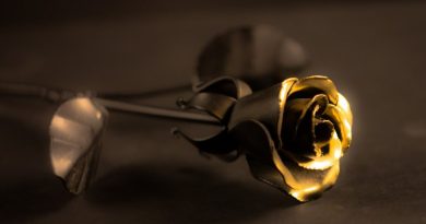 Секрет — Розы и сталь