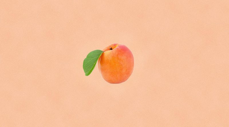 Rex Orange County - Apricot Princess