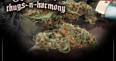 Bone Thugs-N-Harmony - Weed Song