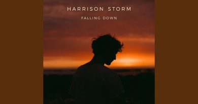 Harrison Storm - Falling Down