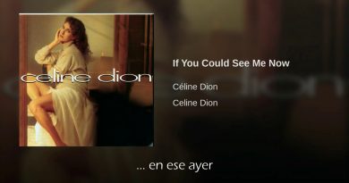 Celine Dion - If You Could See Me Now