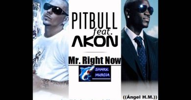 Pitbull - Mr Right Now