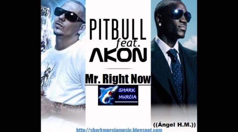 Pitbull - Mr Right Now