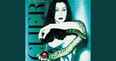 Cher - The Same Mistake