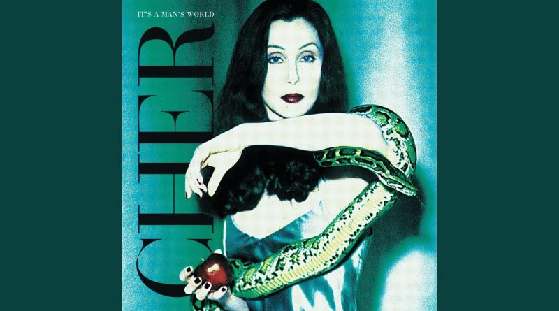 Cher - The Same Mistake