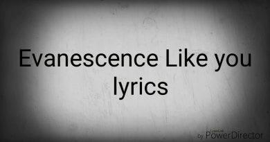 Evanescence - Like You