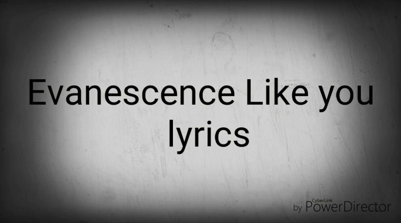Evanescence - Like You