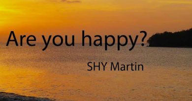 SHY Martin - Are you happy?