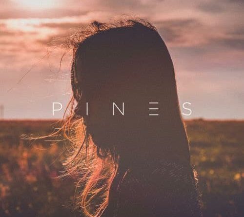 PINES feat. Tailor - What You Need