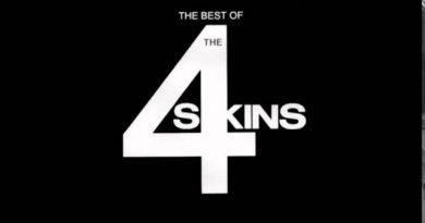 The 4-Skins - Wonderful World